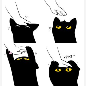 Cat Pap Empty Template   Pat, Black Catchat   Tumblr Askfordoodles   Caresses Calin